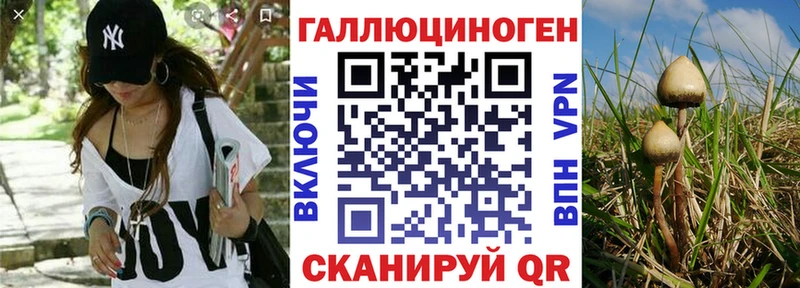 Псилоцибиновые грибы мухоморы  купить   Магадан 